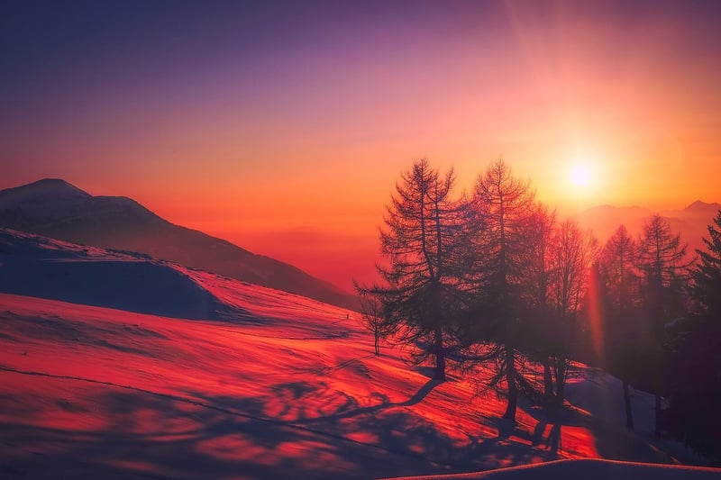 Whimsical Wonderland